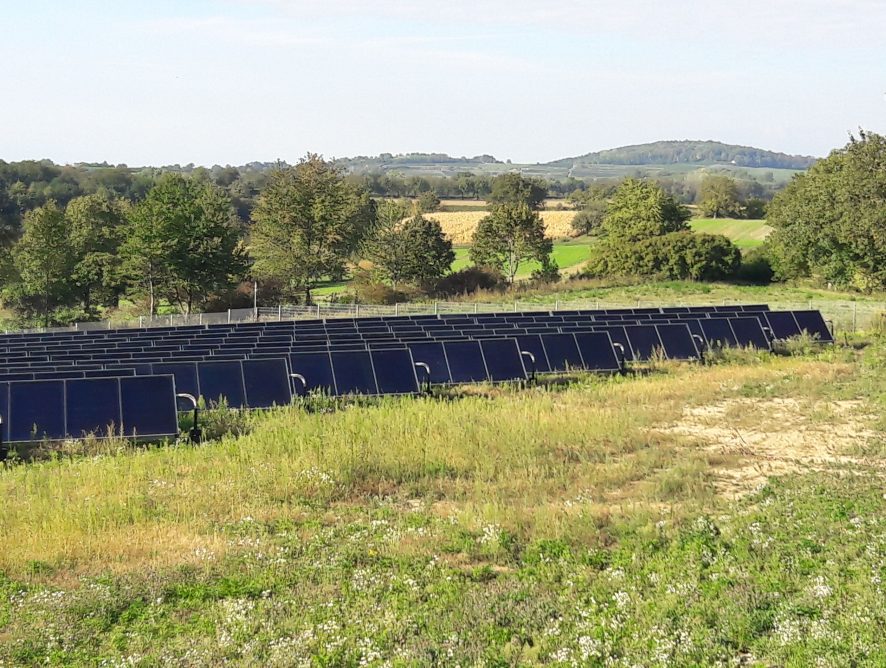 Größte Solarthermieanlage in Mittelbaden